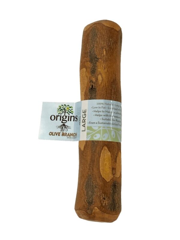 Origins Olive Branch - Large