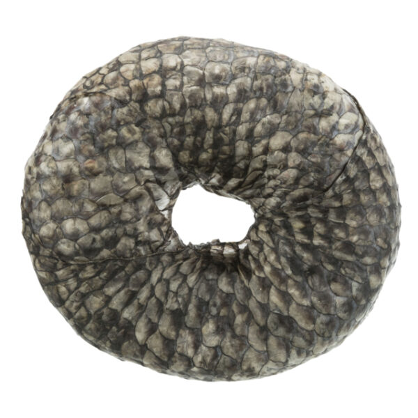 Denta Fun Fish Chewing Ring (10cm/110g)