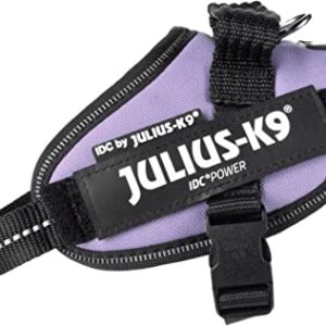 Julius K9 IDC® Powerharness - Purple