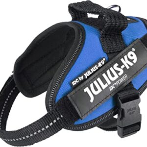 Julius K9 IDC® Powerharness - Blue