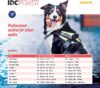 Julius K9 IDC® Powerharness - Blue - Image 3